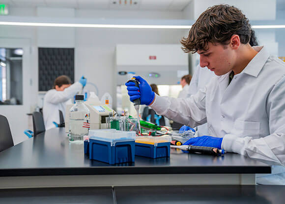 Student working in the SITE
